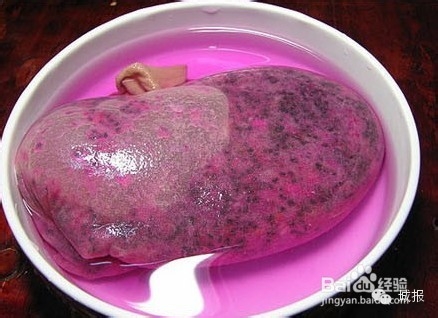 柚子、桂圆、火龙果，都可以变成有趣的盆栽