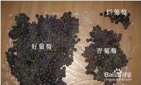 如何自己动手酿造干红葡萄酒