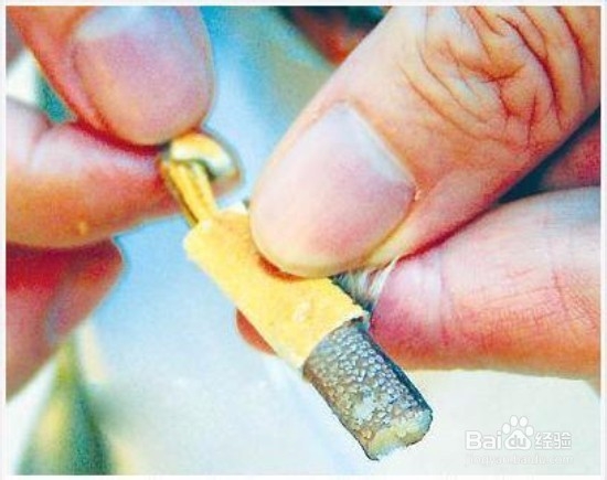 螃蟹应该怎么吃？