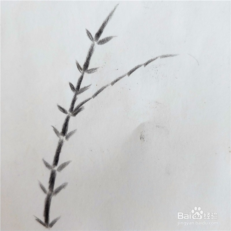 怎么画竹子的简笔画？