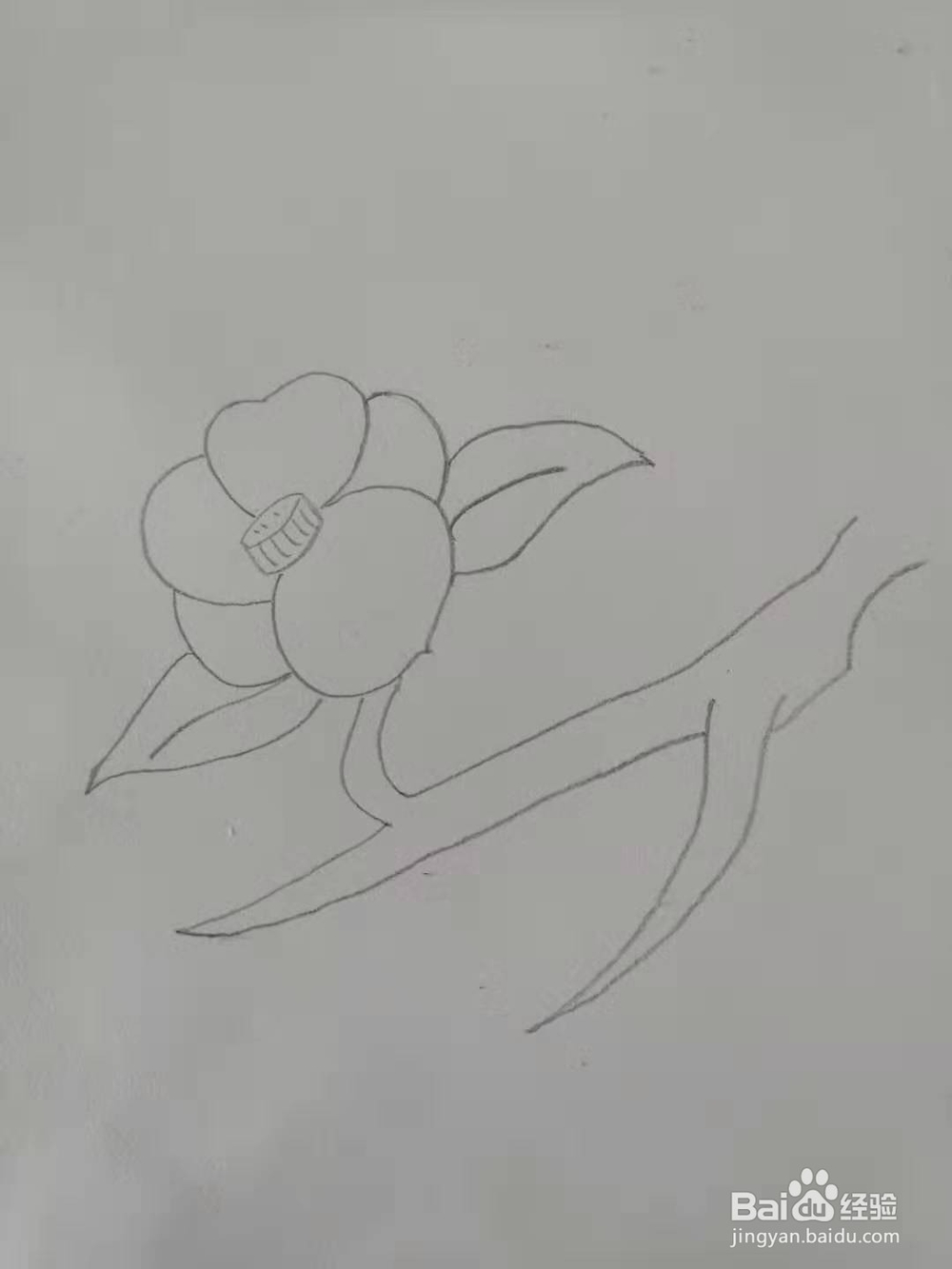 如何画梅花简笔画？