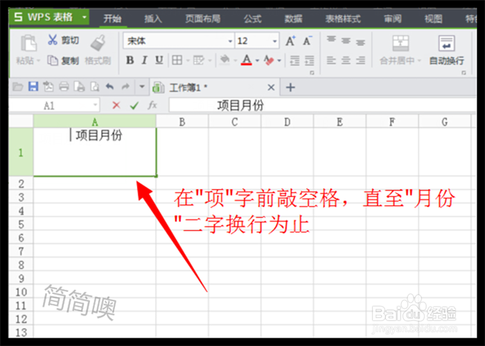Excel中怎样绘制斜线表头?