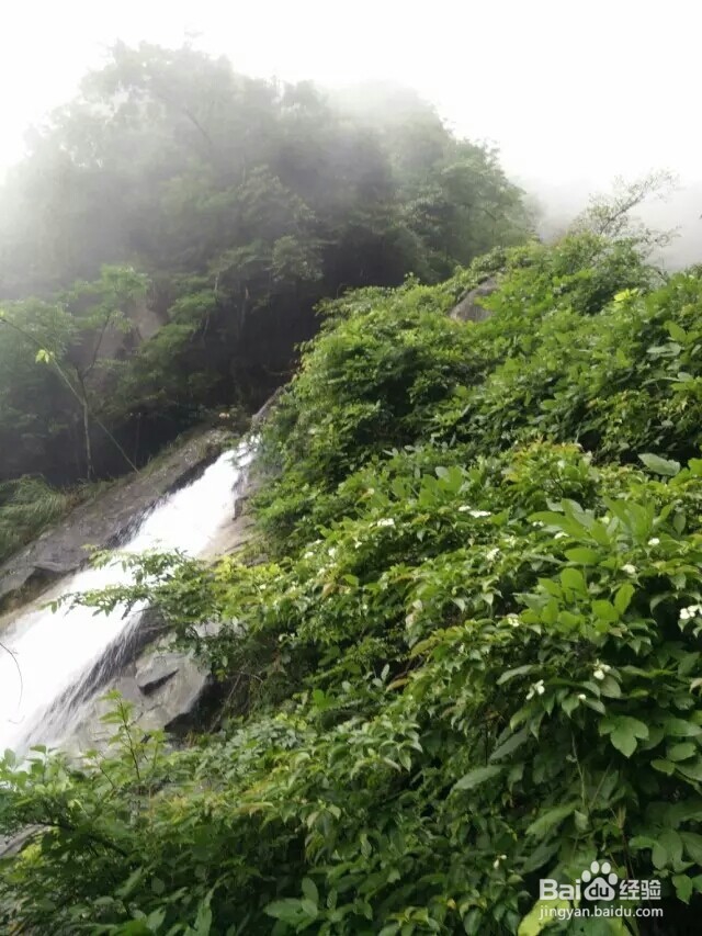 明月山旅游游记攻略