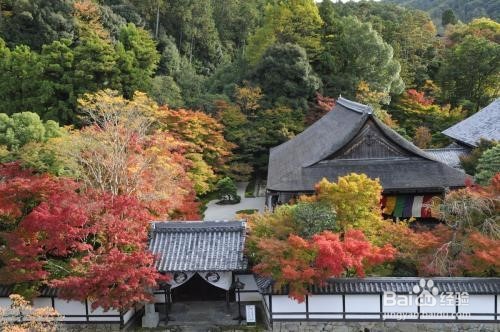 京都游玩全攻略