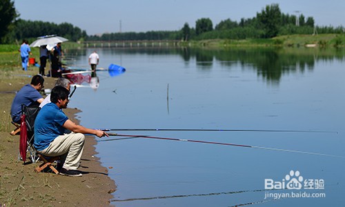 玉米钓鱼有什么方法和技巧