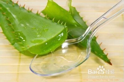 芦荟汁的功效与作用
