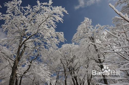如何合理安排从桂林到东北旅游行程