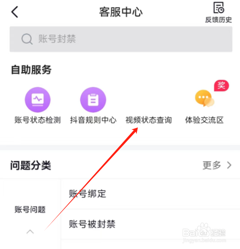 安卓版抖音火山版如何进行视频状态查询？