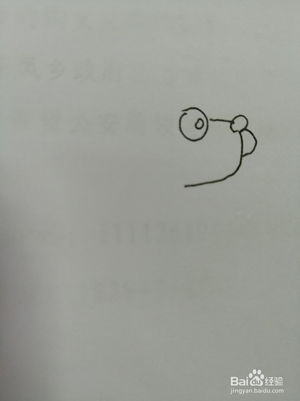 可爱的小狗怎么画