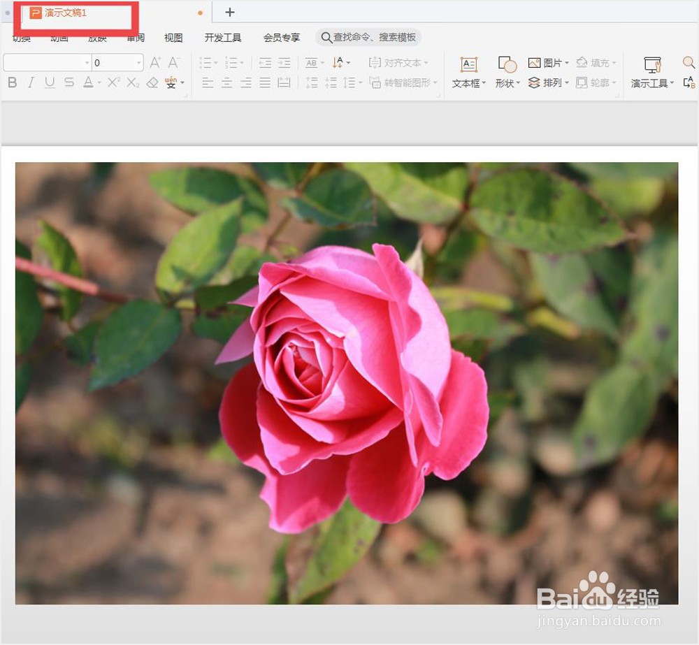 WPS演示怎样给照片添加边框