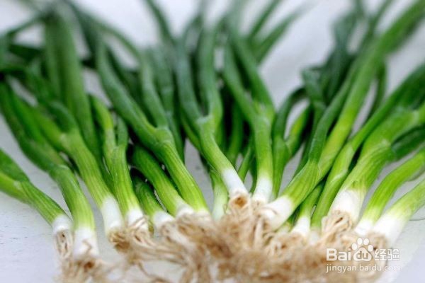 立春以后这样补阳气