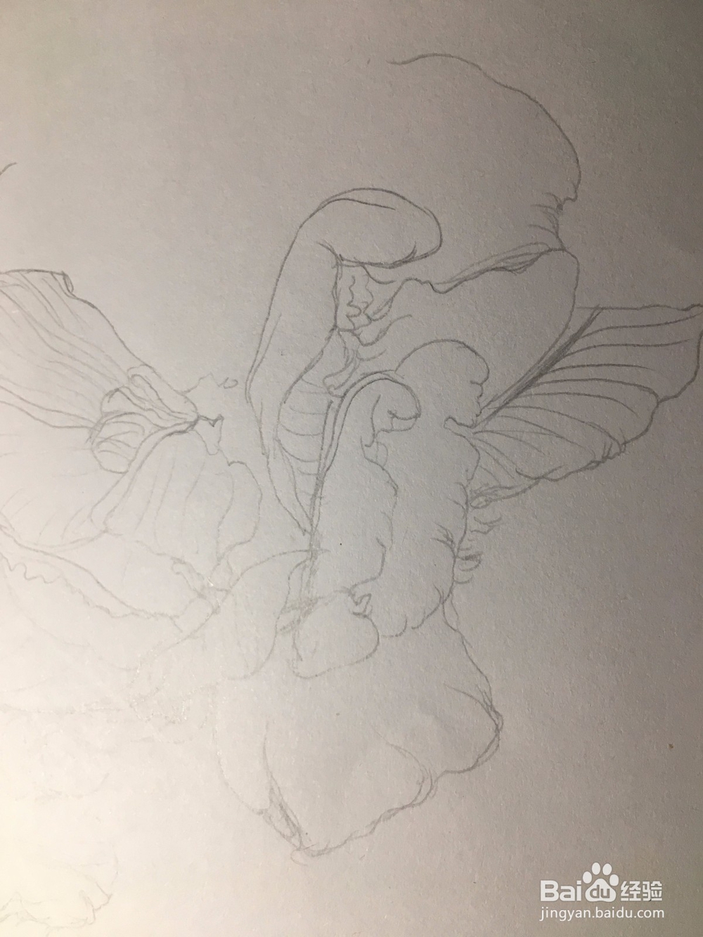 月季花的画法 月季简笔画 三朵月季的线描画教程