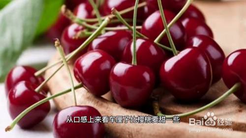 樱桃和车厘子的区别