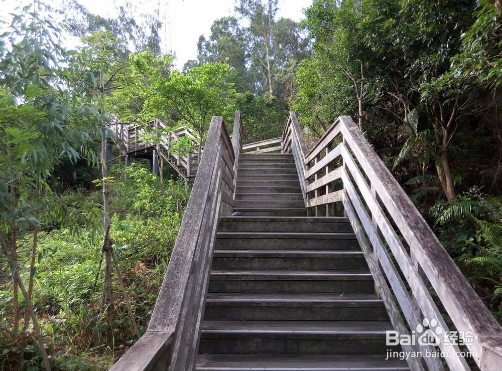 深圳有哪些好玩又免费的地方?