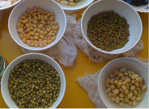 美容养颜汤的做法