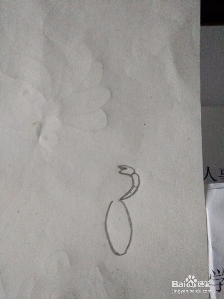 蝎子怎么画出来