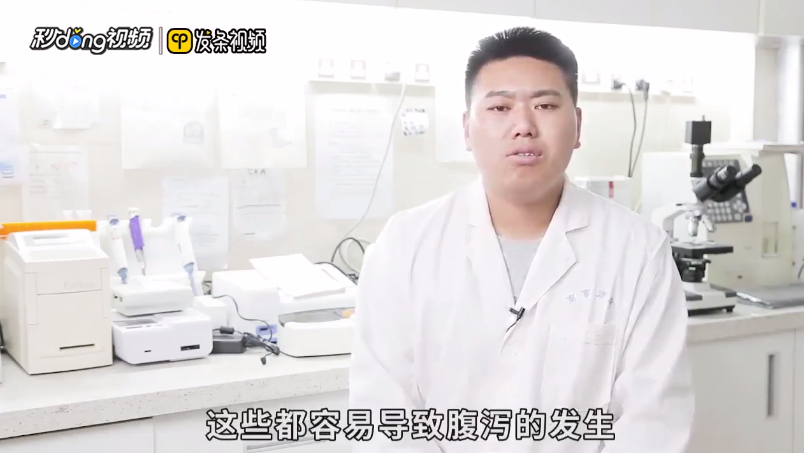 猫拉肚子但是精神很好是什么原因