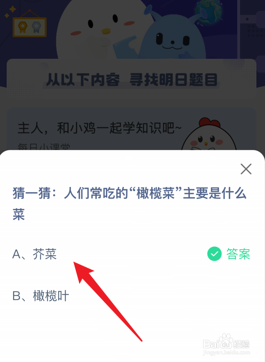 蚂蚁庄园小课堂橄榄菜主要是什么