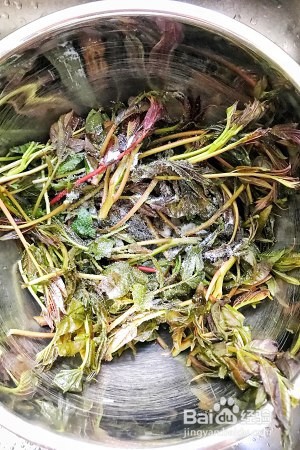 健康养生佳品腌香椿的做法