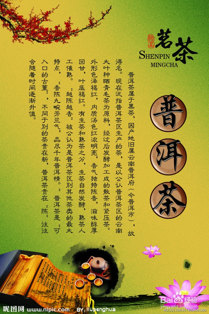 什么牌子的普洱茶好