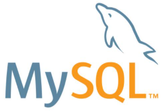 软件工程的方法得以实施的主要保证