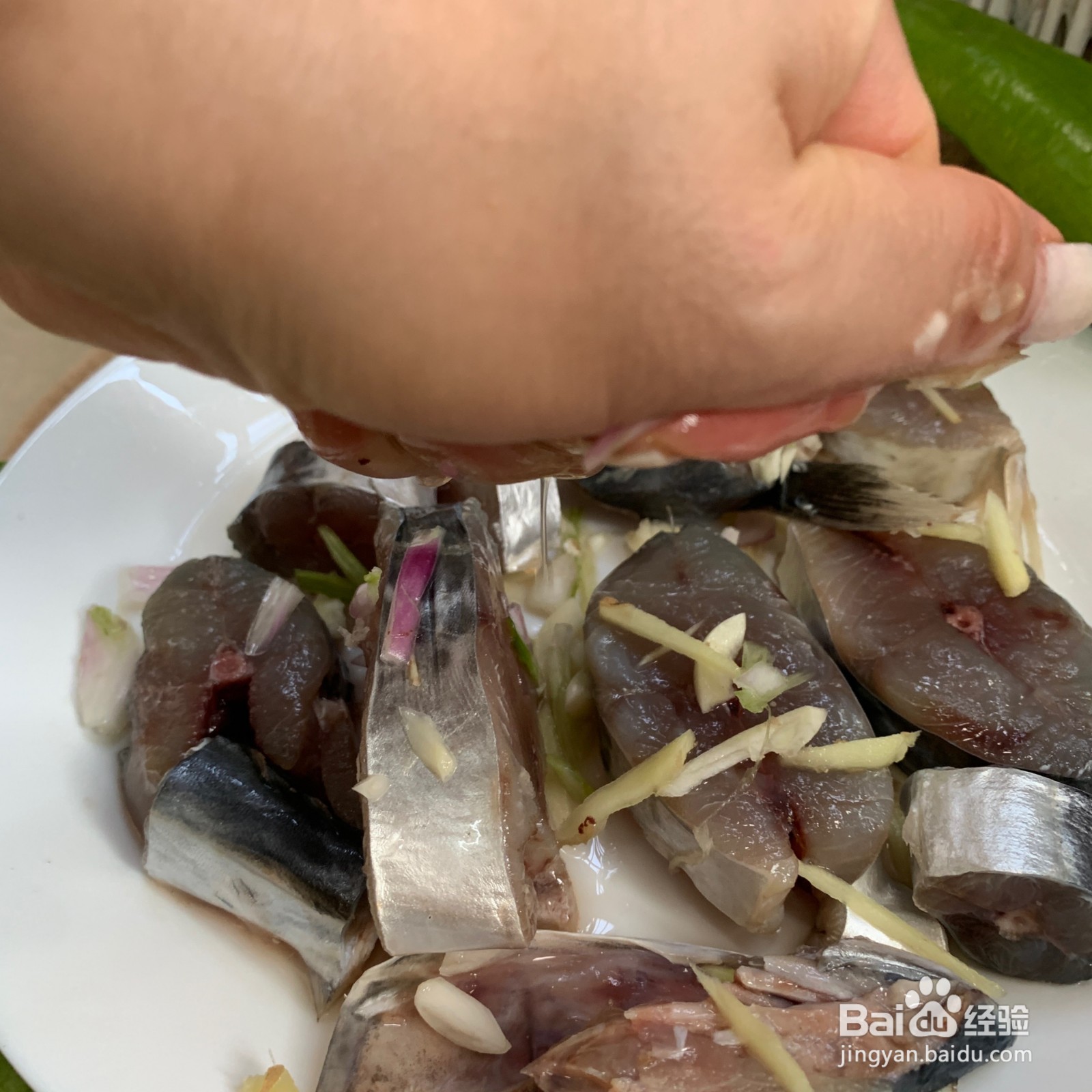 香煎马胶鱼的做法