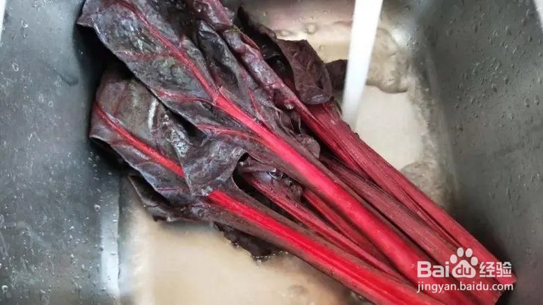 紫甜菜怎么吃