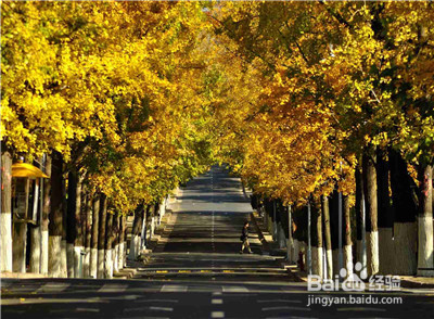 路过的风景，都是回不去的曾经
