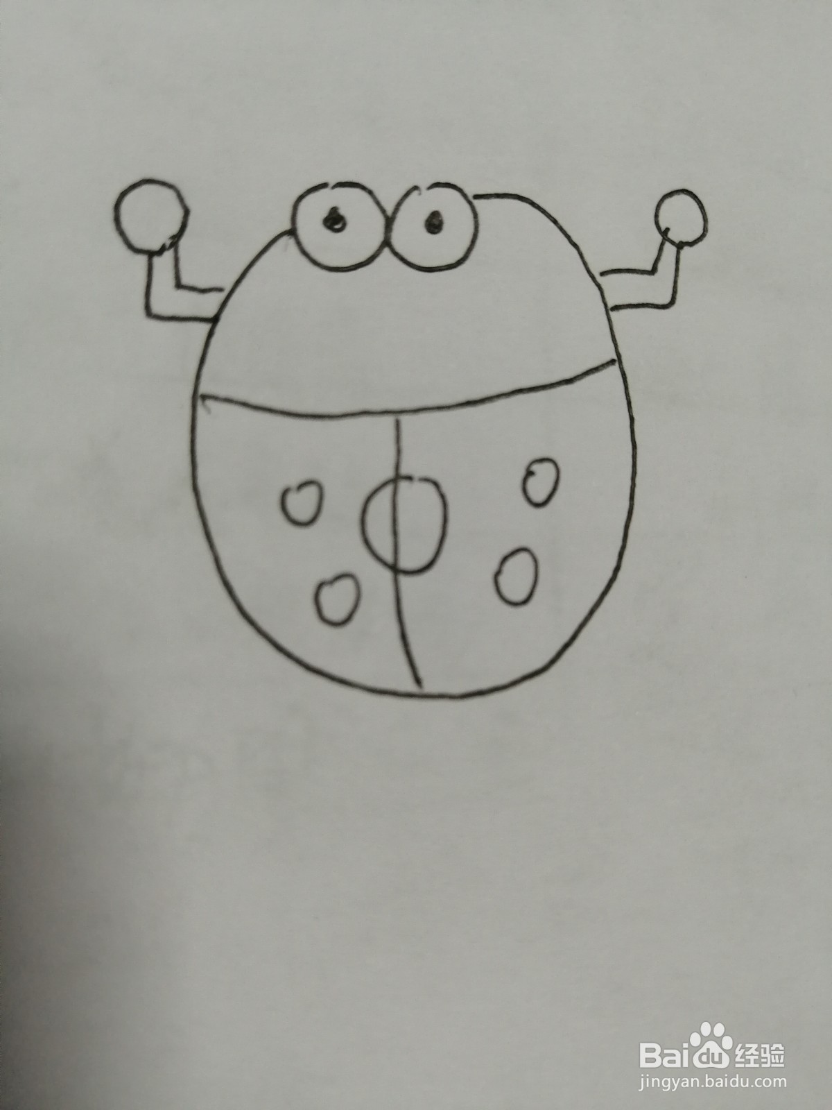 简笔画小瓢虫怎么画