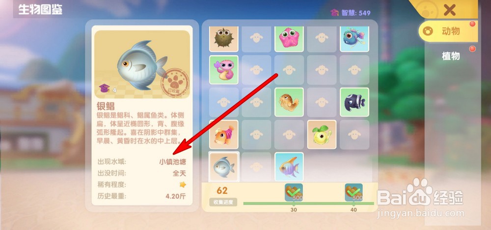 摩尔庄园手游银鲳鱼和白萝卜鱼在哪里获得