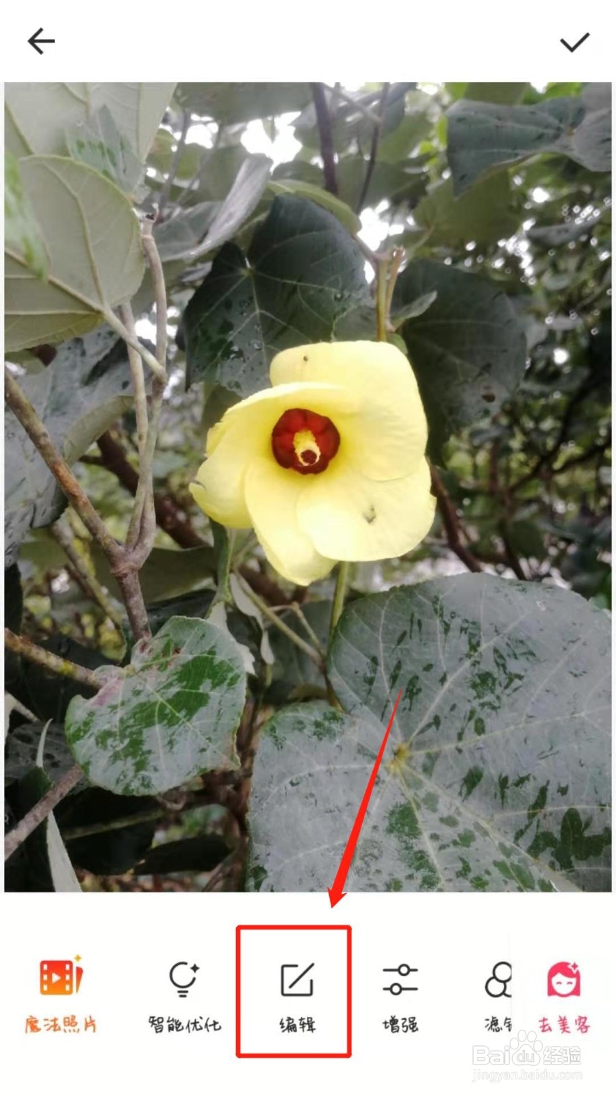 手机版美图秀秀怎么修改图片的大小