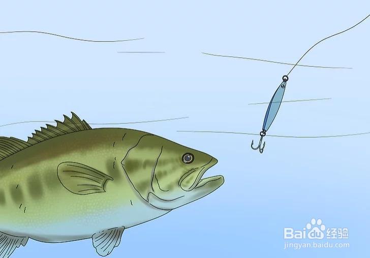 怎样才能钓到鱼呢