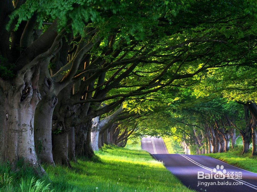 健身运动缓解眼睛疲劳
