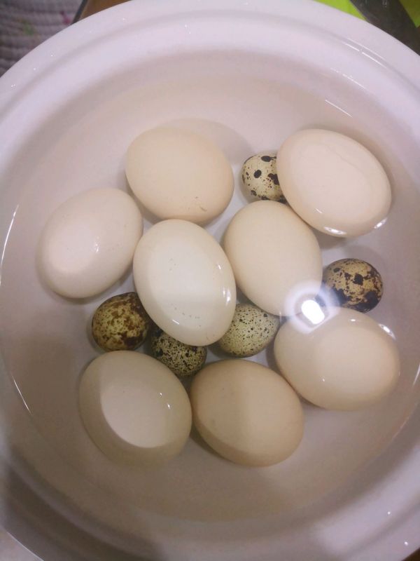 香喷喷的茶叶蛋