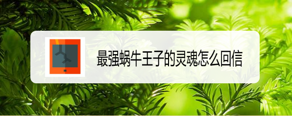 最强蜗牛王子的灵魂怎么回信