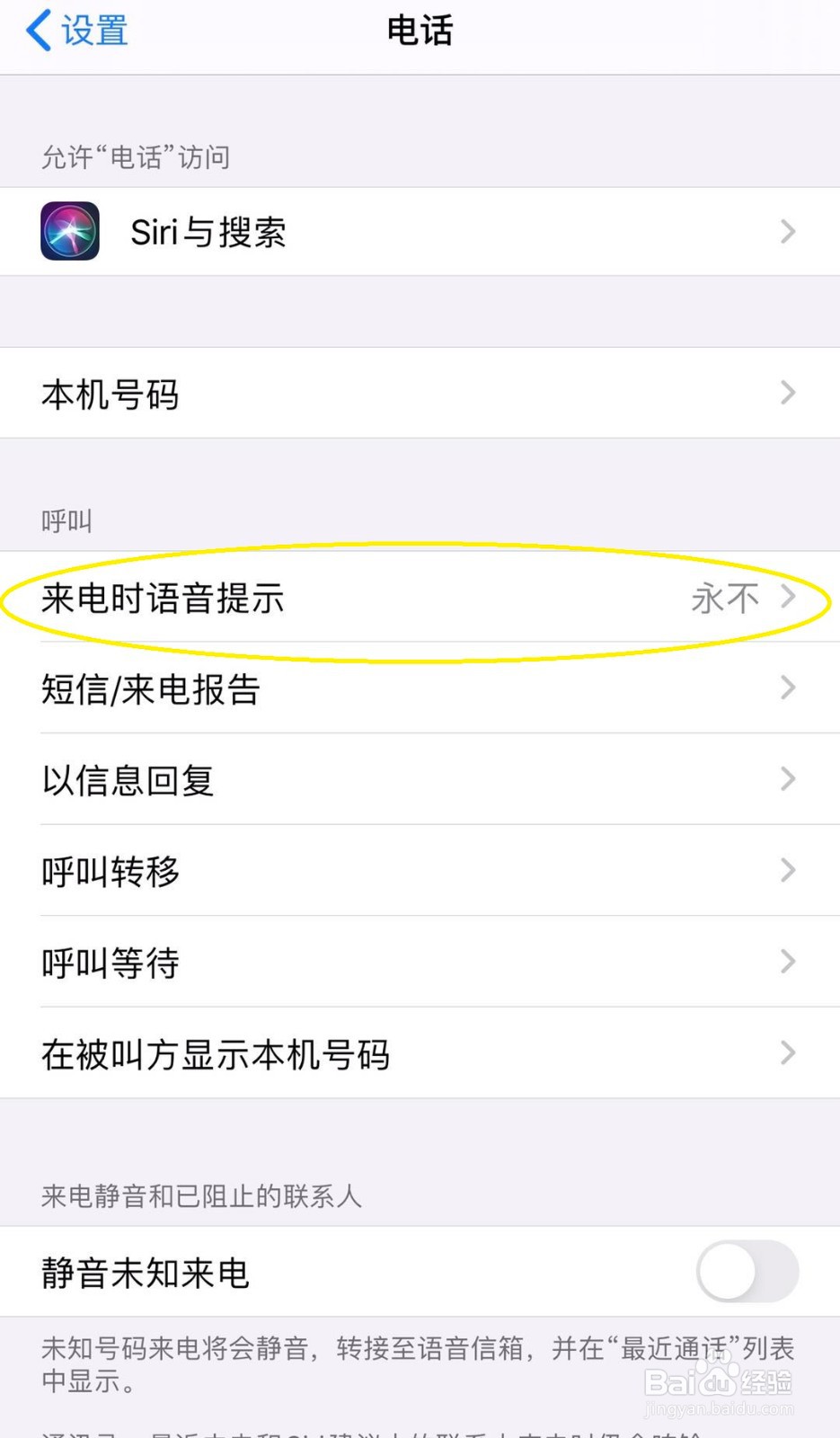 iPhone如何设置来电语音播报
