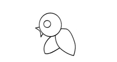 小鸟怎么画？简单的小鸟画法！