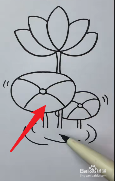 荷花怎样画又好看又简单