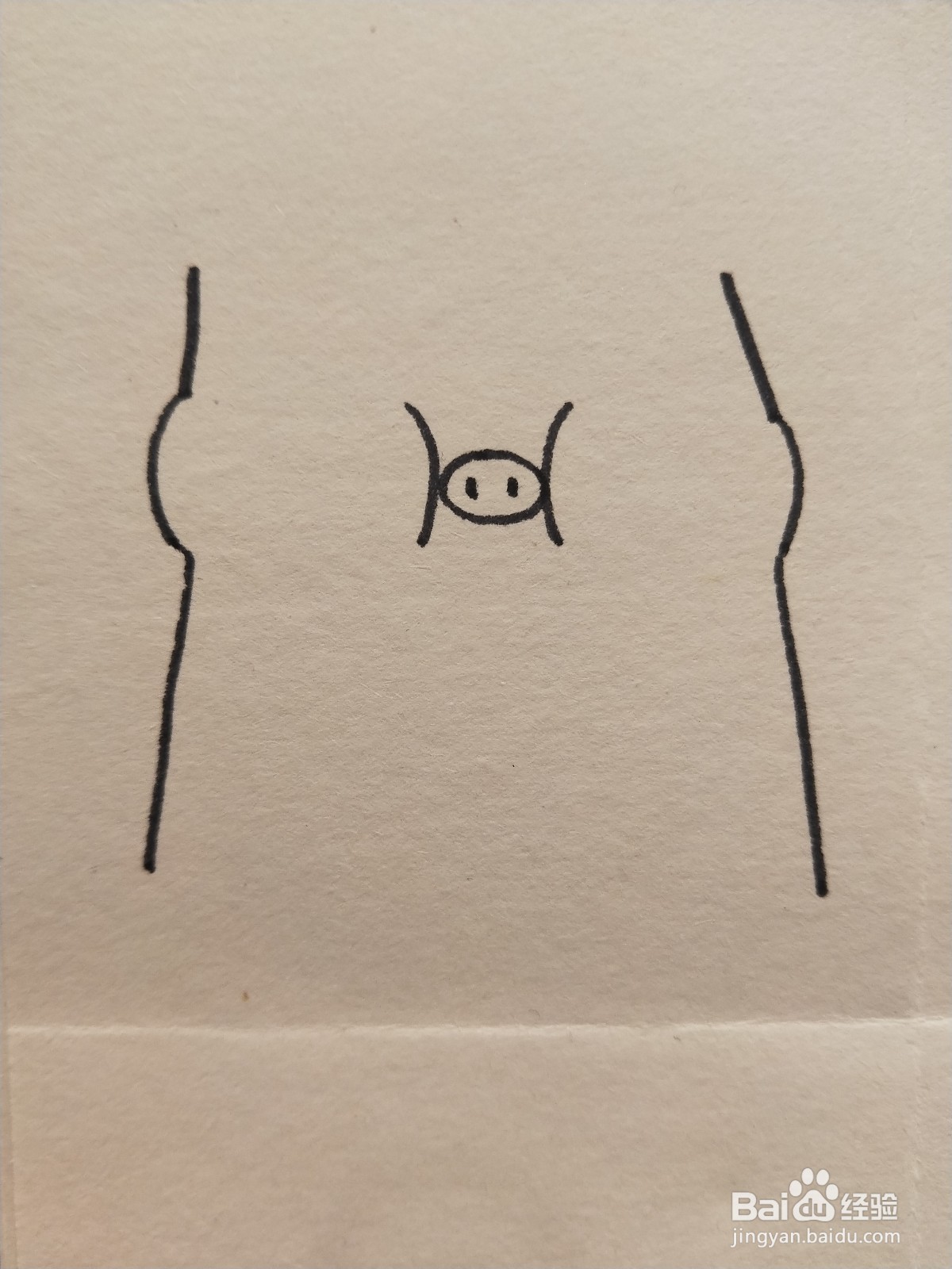 怎样画简笔画——小猪