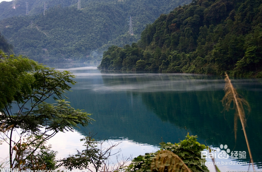 手机没有信号怎么处理?