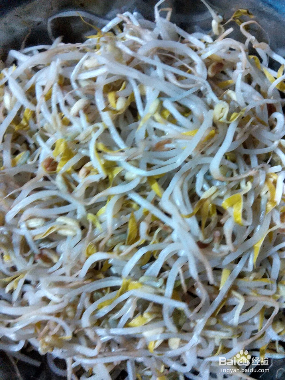 香肠香菜拌绿豆芽干豆腐