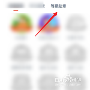 有道乐读怎样查询自己的等级勋章