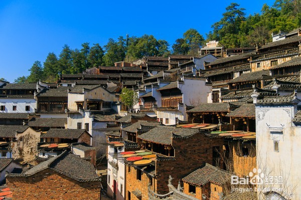 哪里油菜花不好看,为何要去婺源,给你一个答案