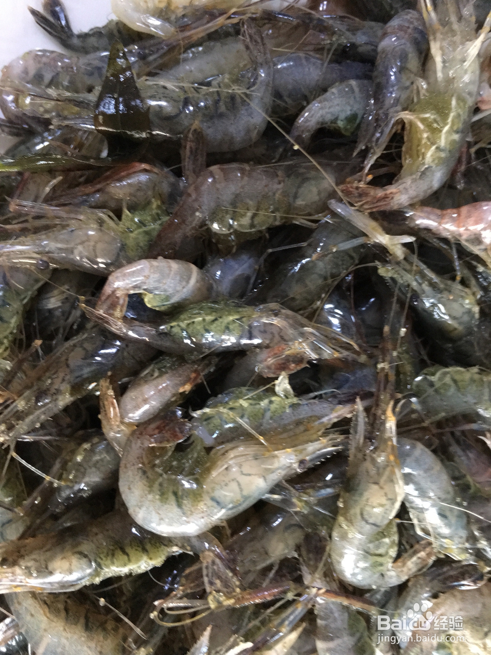 海鲜教程之干炸香酥小河虾的做法
