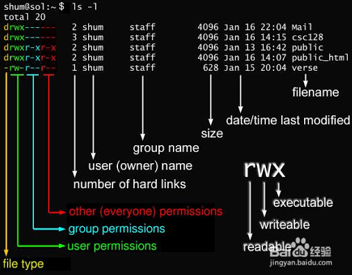 Linux怎么查看文件属性