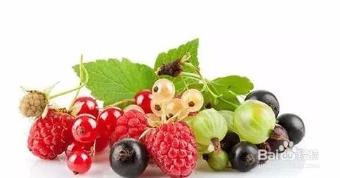 水果有那些品种