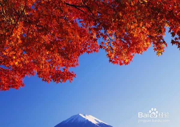 如何过年这一关