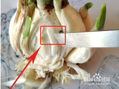 雕刻水仙花包方法图解