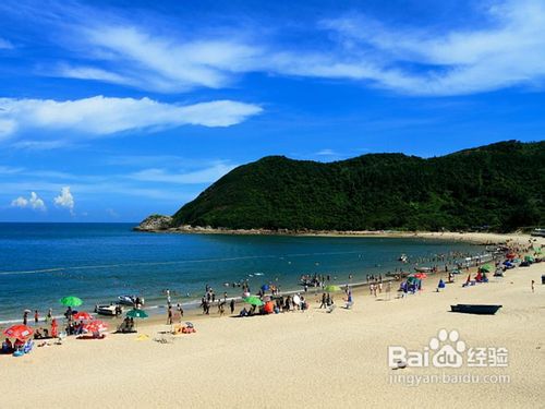 杨梅坑踩单车、西冲海滨风情一天欢乐游