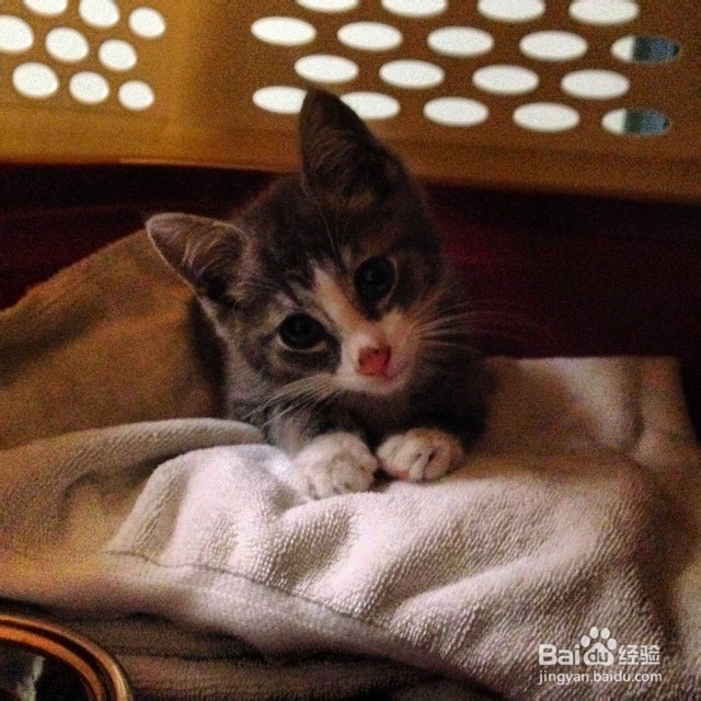 Show you how to Be Nice to a Girl